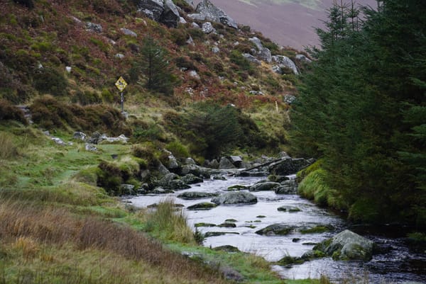 Technically Correct, but Universally Wrong